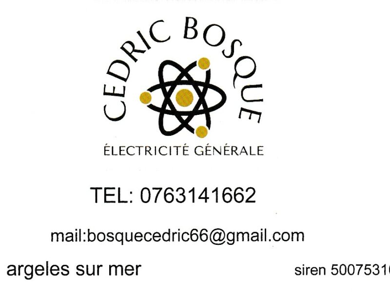 ELECTRICITE GENERAL